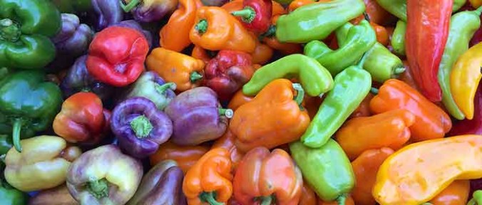 Peppers at the Fairfax Farmers Market