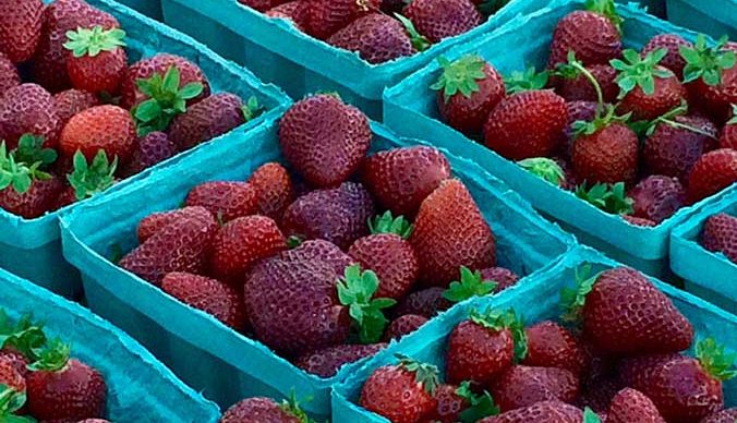 Farmers' Market Strawberries
