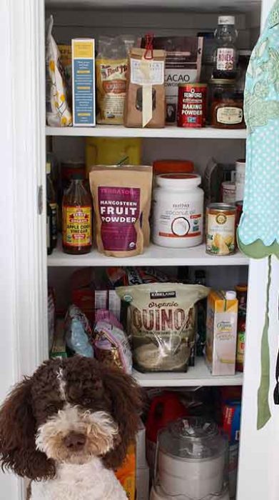 Lydia's pantry with mascot